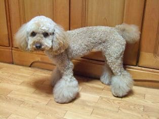 夏場の温度管理