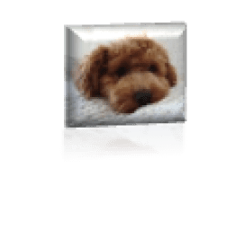 マナーを守りましょう