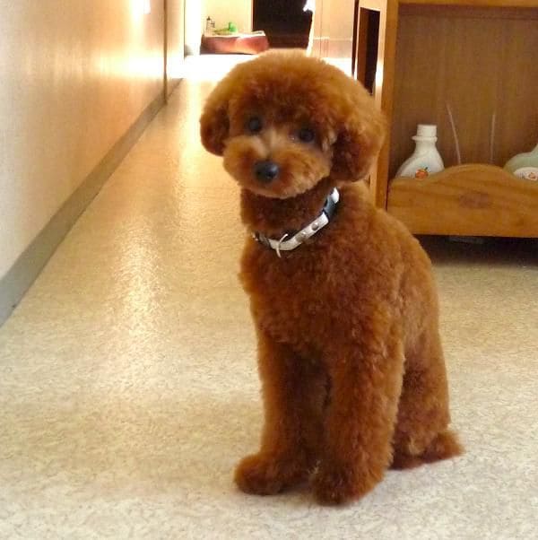 褒め方と叱り方